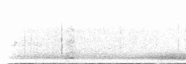 Ібіс-лисоголов південний - ML185830861