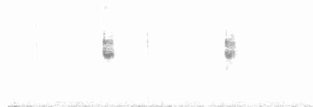 Arctic Warbler - ML185832431