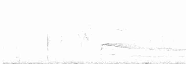 Краснохвостый канюк (harlani) - ML185834401