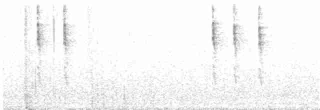 Troglodyte de Baird - ML185879871