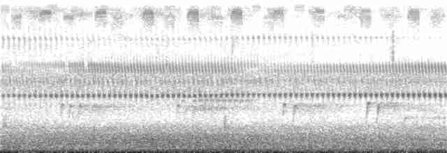 Karolina Çıtkuşu - ML185902261