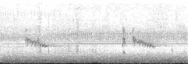 Karolina Çıtkuşu - ML185903251