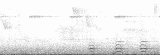 Slaty-tailed Trogon - ML185903481