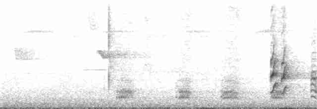 Kara Karınlı Çıtkuşu - ML185905571