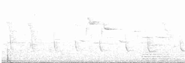 Boyalı Horoz Kekliği - ML185912831