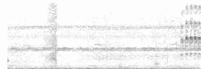 Дятел плямистобокий - ML185938711