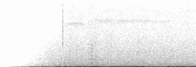 Weißband-Ameisenvogel - ML185974351