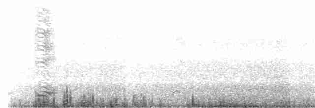 Cuervo Pescador - ML186018901