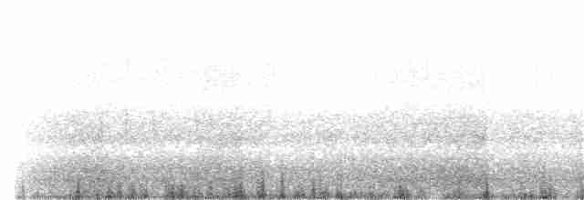Cuervo Pescador - ML186018911