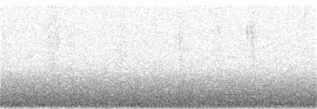 tyranovec olšový - ML186082441