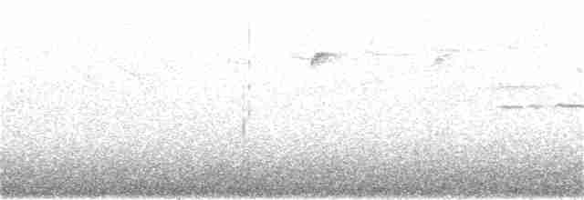 Белогорлая зонотрихия - ML186082481