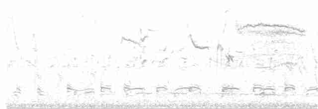 White-browed Meadowlark - ML186158081