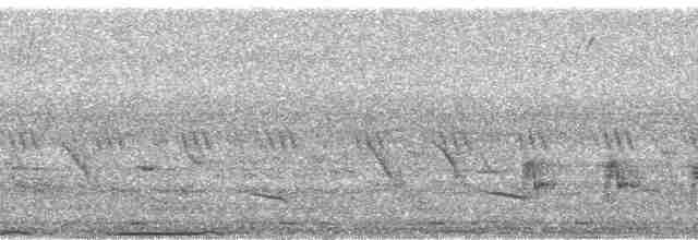holub pásochvostý - ML18633