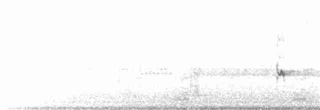 Chaparralgrasmücke - ML186348771