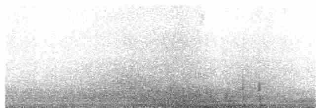 Gri Tepeli Baştankara - ML186438011