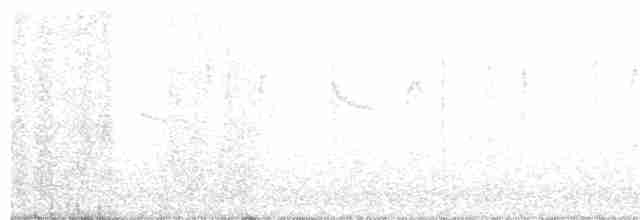 Paradoxornis de Verreaux - ML186452951
