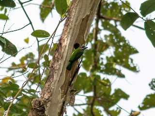 Yotoqxonada guruh jinsiy aloqa