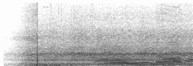 אווז לבן-מצח - ML186513131