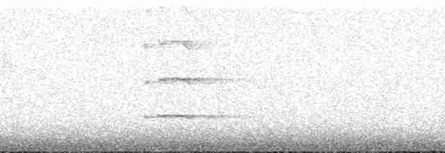 Ушастая сова (wilsonianus/tuftsi) - ML186627