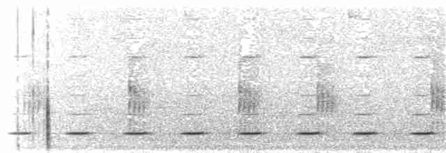 Сичик-горобець андійський - ML186737281