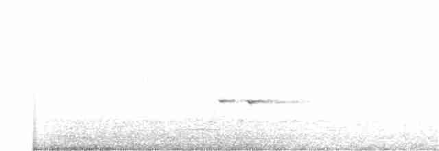 Fleckenpanthervogel - ML186753041