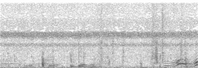 Сова-голконіг плямиста - ML186789101