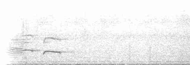 Araripe Manakin - ML186878