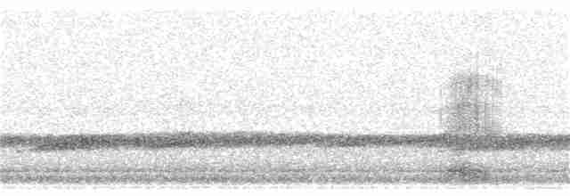Great Egret - ML186900471
