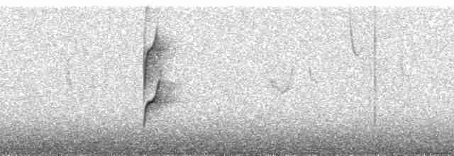 Grass Wren (Puna) - ML186917