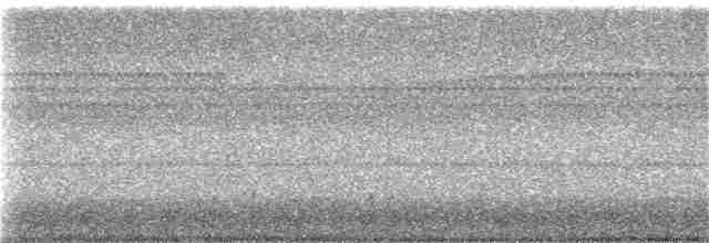 疣鼻天鵝 - ML186919511