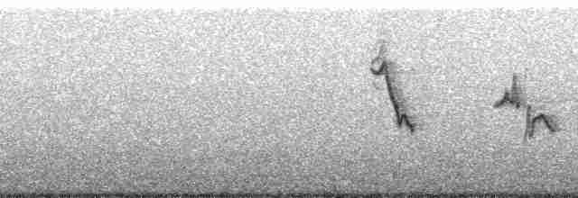 Black-spectacled Brushfinch - ML186921