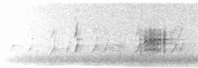 Australasian Grebe - ML186933471