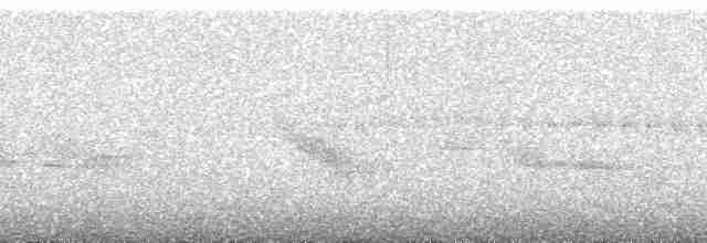 Kusko Çalı Serçesi - ML186934
