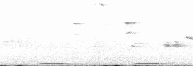holub pestrokřídlý - ML186956451