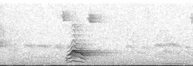 Капюшоновый трёхпалый тинаму - ML186978