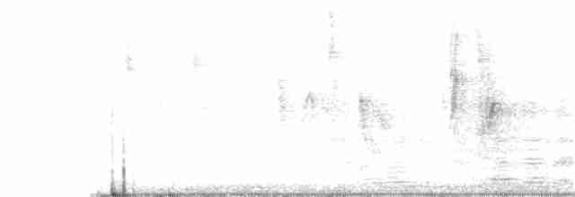 White-vented Euphonia - ML186981321