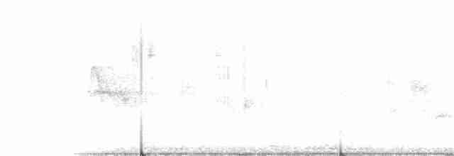 White-vented Euphonia - ML186981331