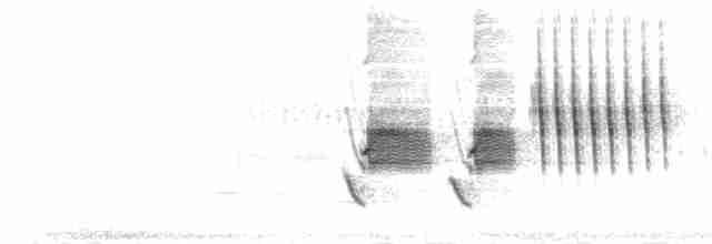 ホシワキアカトウヒチョウ（arcticus） - ML187098