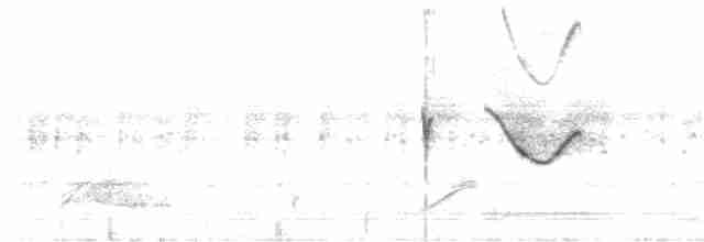 Spot-tailed Nightjar - ML187165161