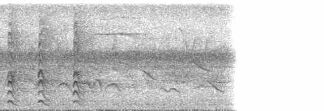 Яструб неотропічний (підвид pileatus/guttifer) - ML187243