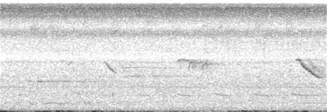 Trogón Violáceo Norteño - ML187281301