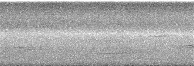 Trogon rosalba - ML187281361