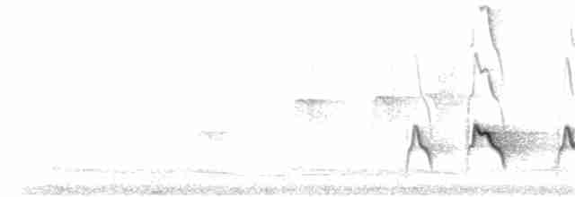 White-browed Shrike-Babbler (Himalajawürgervireo) - ML187376211