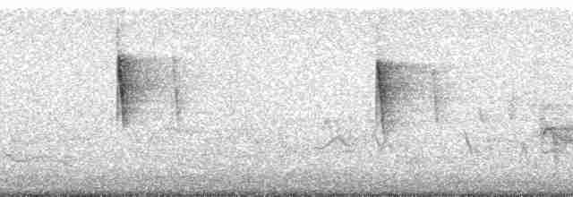 Желтогорлая древесница - ML187379