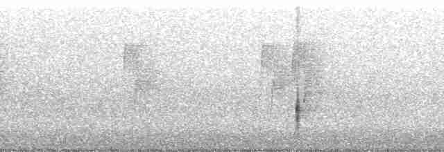 vlhovec červenokřídlý [skupina phoeniceus] - ML187383