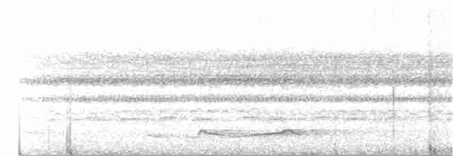 Silky-tailed Nightjar - ML187478061