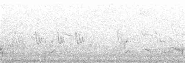 stripediamantfugl (striatus) - ML187504001