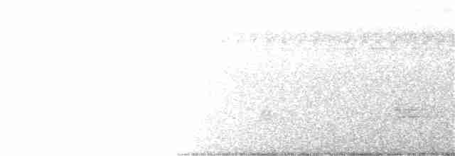 White-eared Brown-Dove - ML187553761