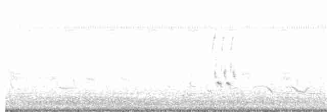Loggerhead Shrike - ML187554941