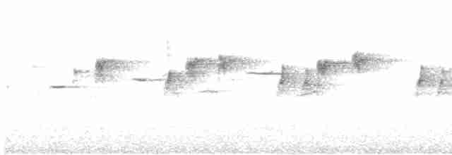 Gray Fantail (alisteri) - ML187734321
